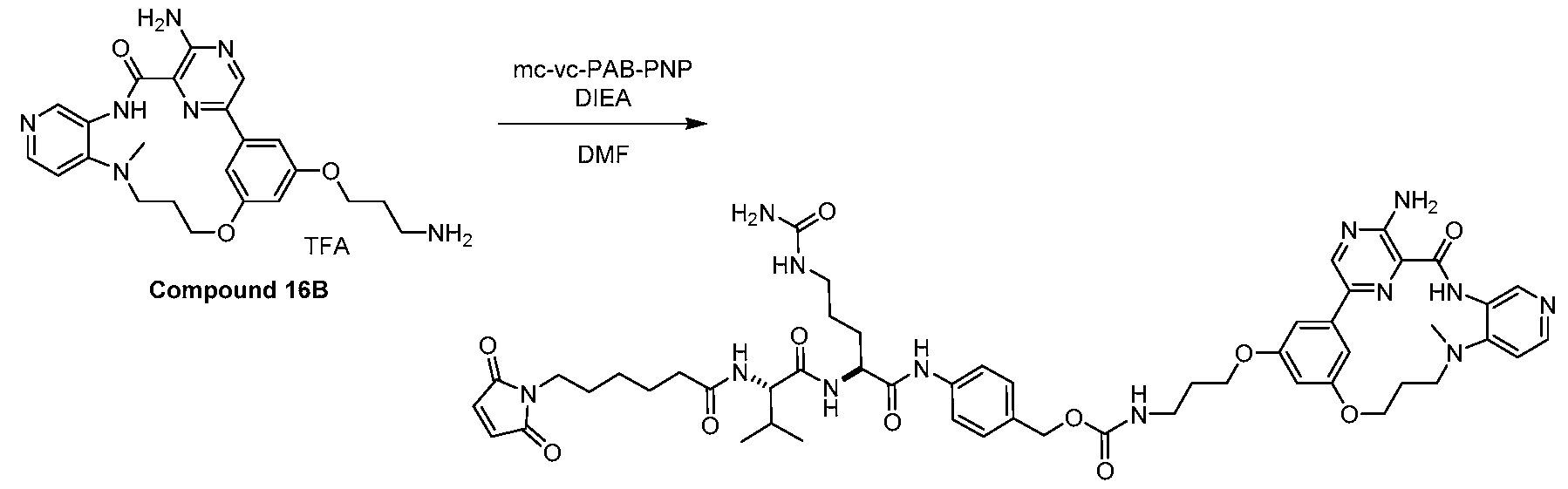 Figure imgf000445_0001
