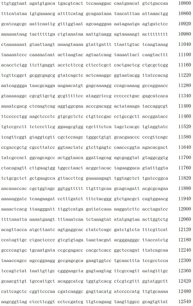 Figure IDA00003076741800361