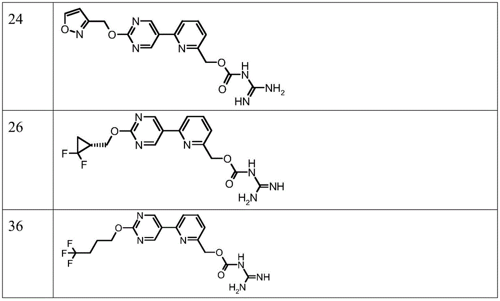 Figure BDA0002725931620000301