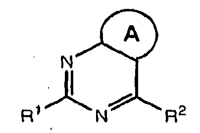Figure 112008077521217-PCT00049