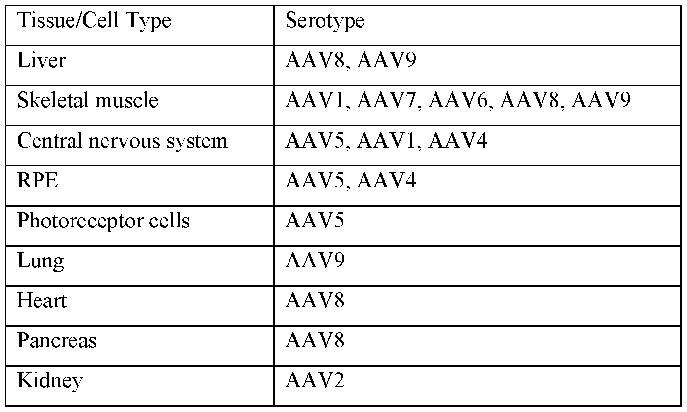 Figure imgf000065_0001
