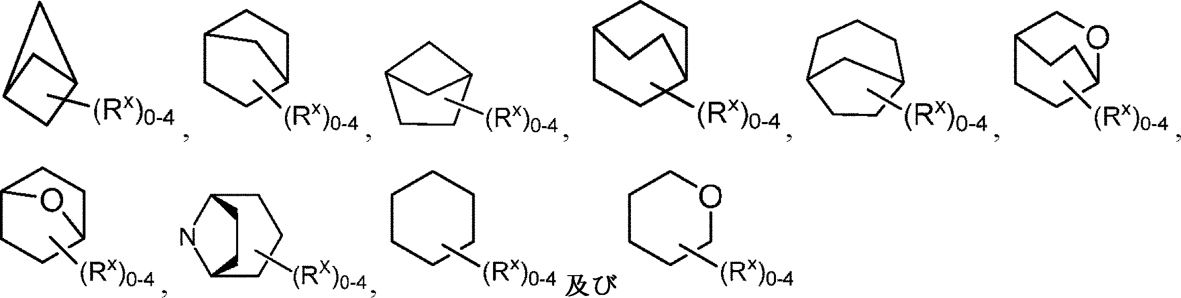 Figure 2022533023000126