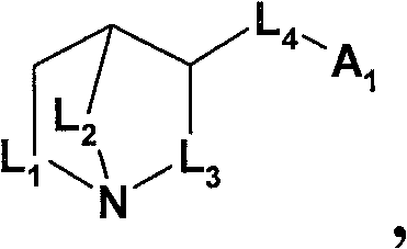 Figure FDA0000133076500000031