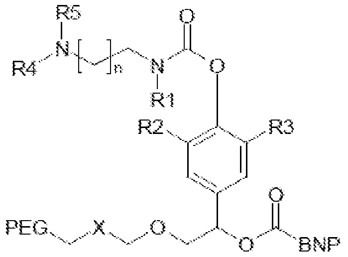 Figure imgf000014_0001