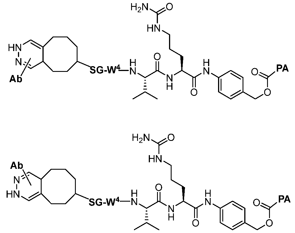 Figure imgf000061_0002