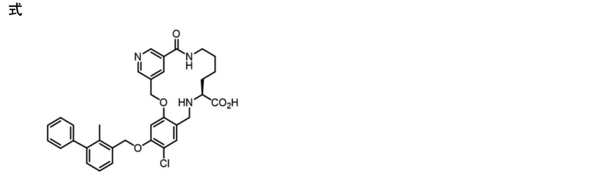 Figure 0007198269000062