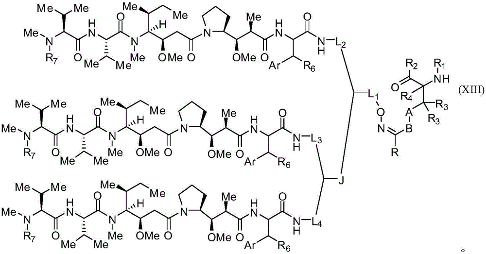 Figure FDA0001969588390000161