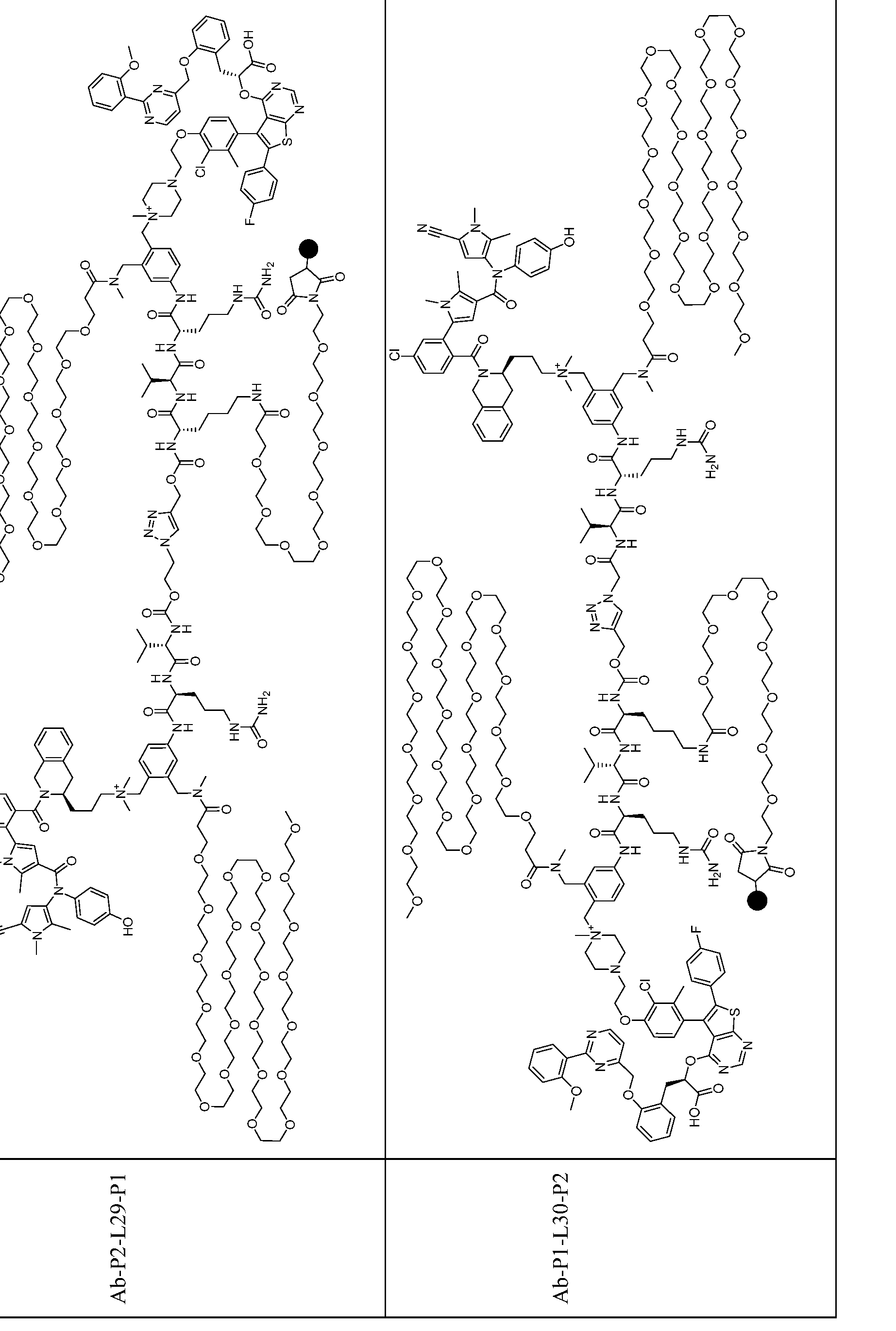 Figure imgf000178_0001