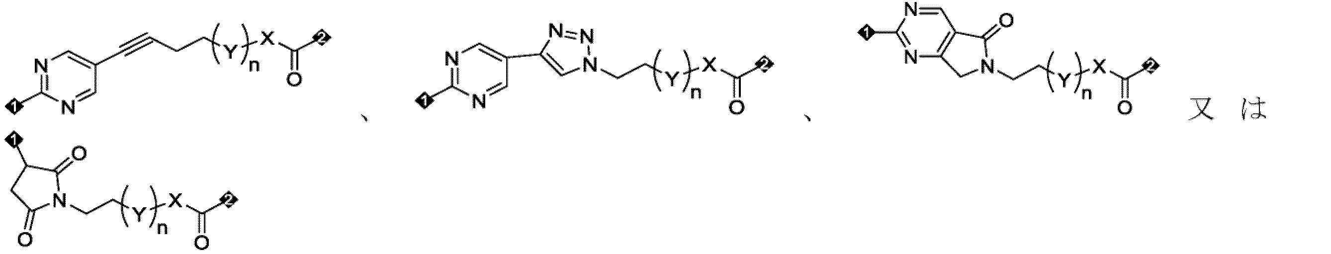 Figure 2025516873000010