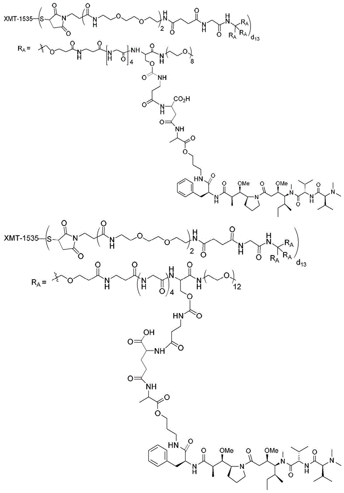 Figure BDA0003135424430001861