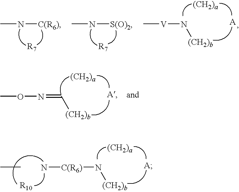 Figure US20090221556A1-20090903-C00161