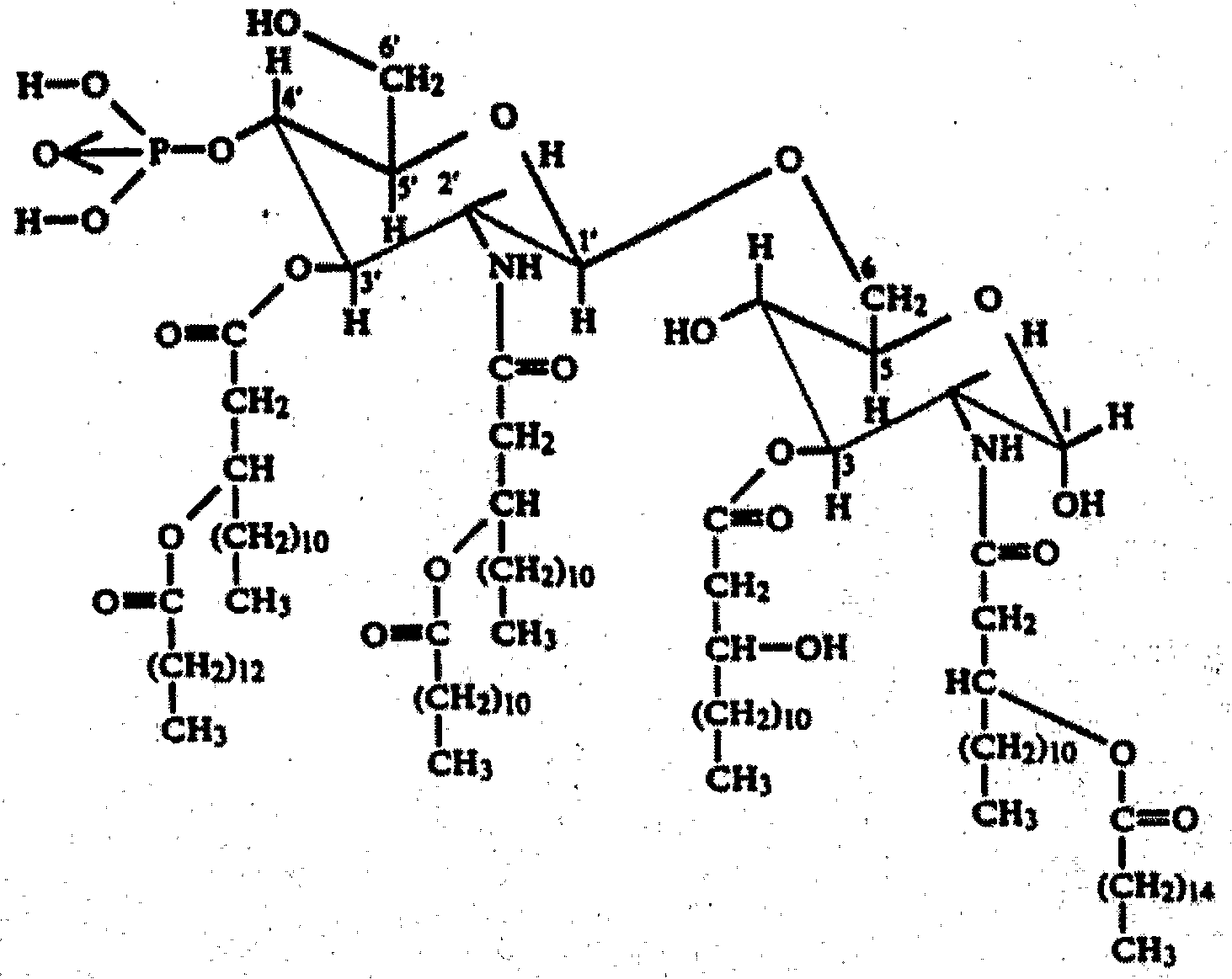 Figure imgf000007_0001