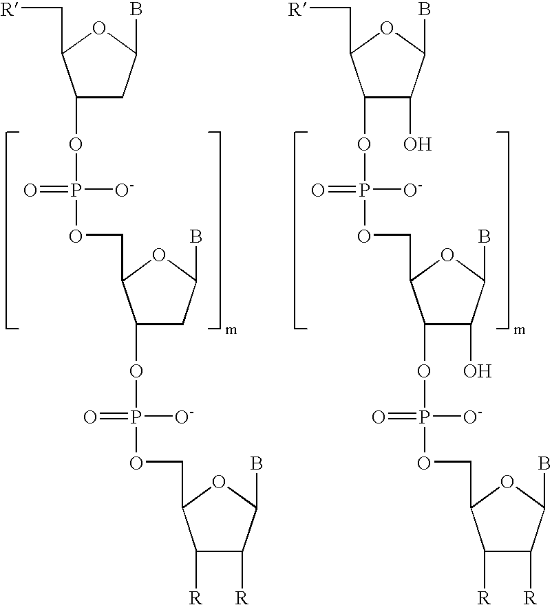 Figure US20050239089A1-20051027-C00003