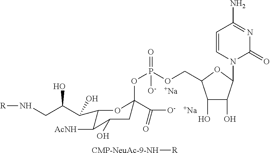 Figure US20130344050A1-20131226-C00059