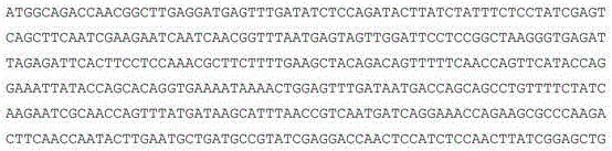 Figure 762591DEST_PATH_IMAGE044