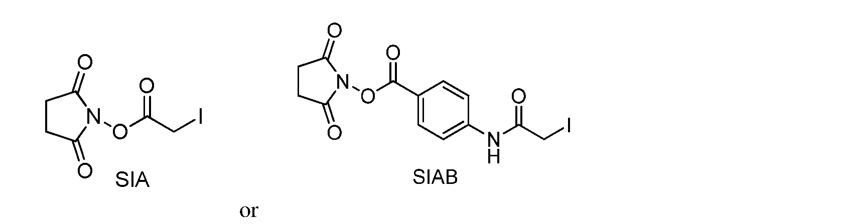 Figure imgf000041_0002