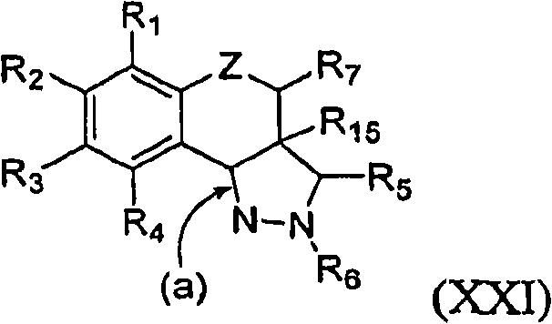 Figure G2006800530779D00202