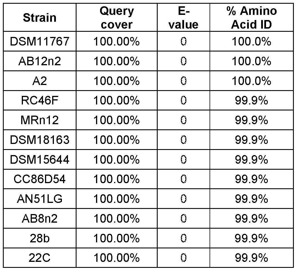 Figure imgf000075_0002