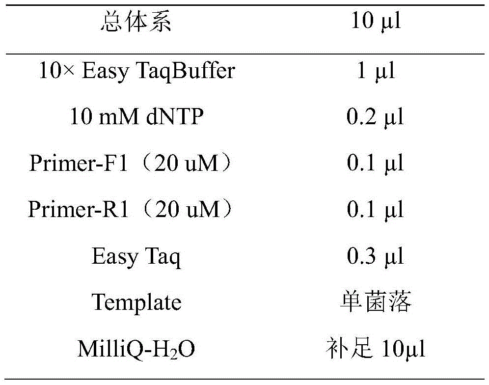 Figure BDA0002336835590000092