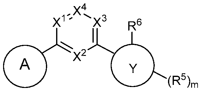 Figure imgf000013_0001