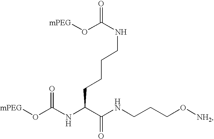 Figure US20060198819A1-20060907-C00038
