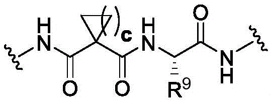 Figure BDA0003169092350000398