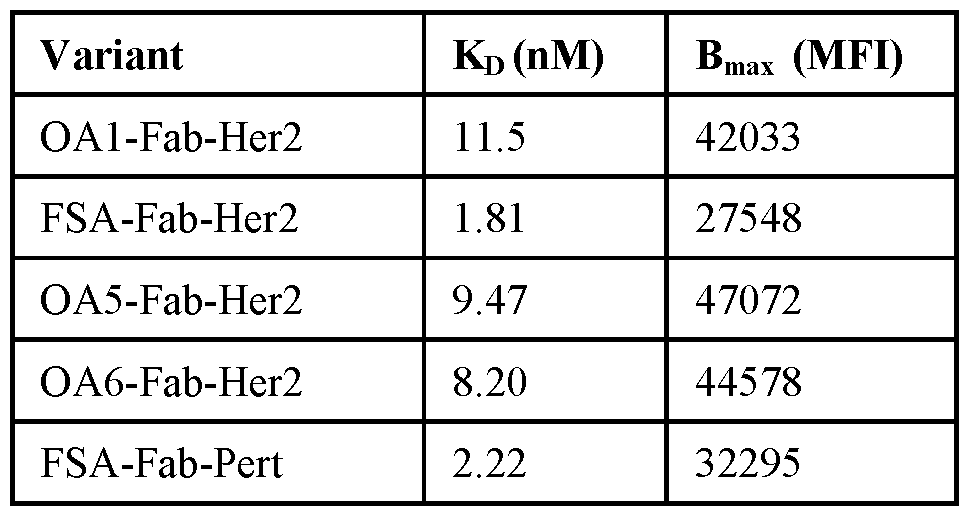 Figure imgf000098_0001