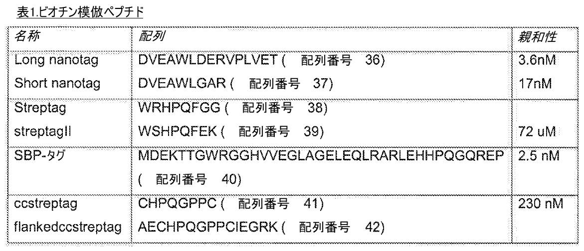 Figure 0007132249000020