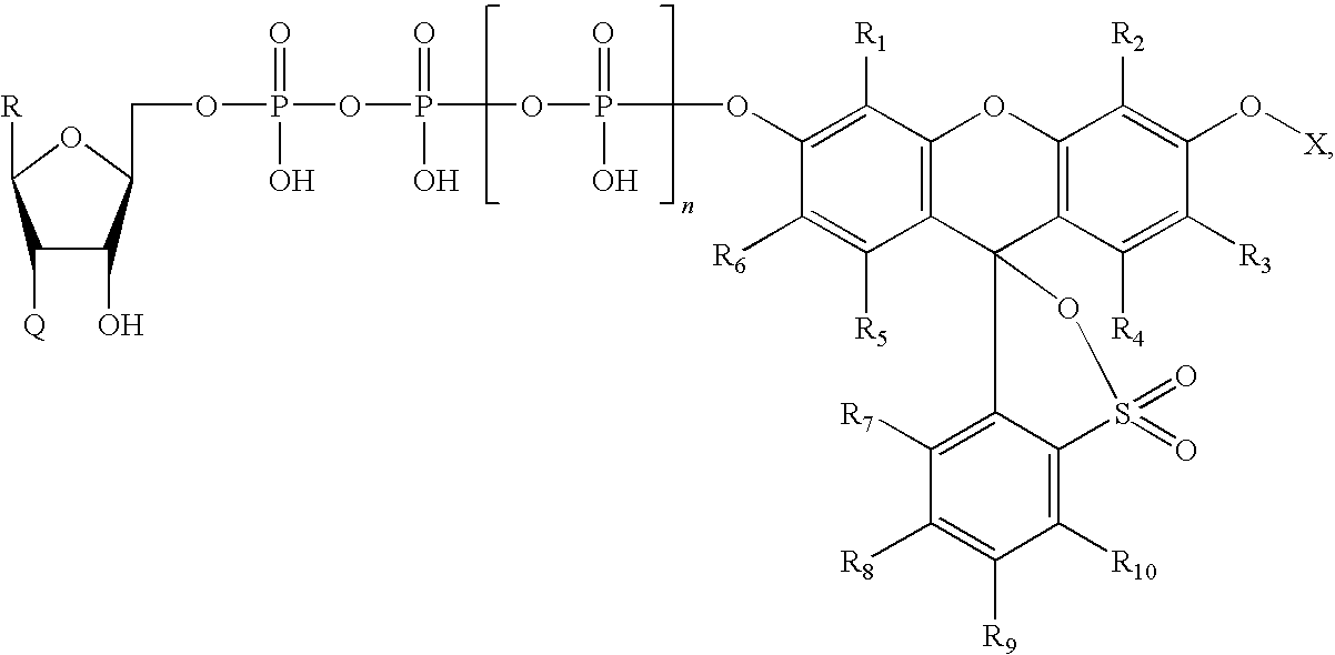 Figure US20100036110A1-20100211-C00009