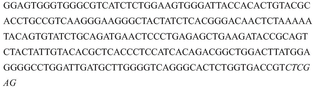 Figure GDA0003152722340000911