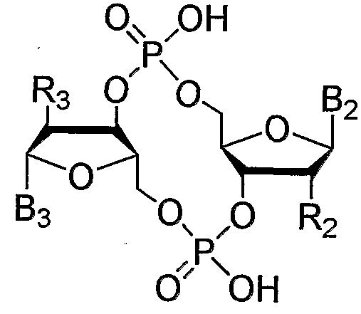Figure imgf000050_0001