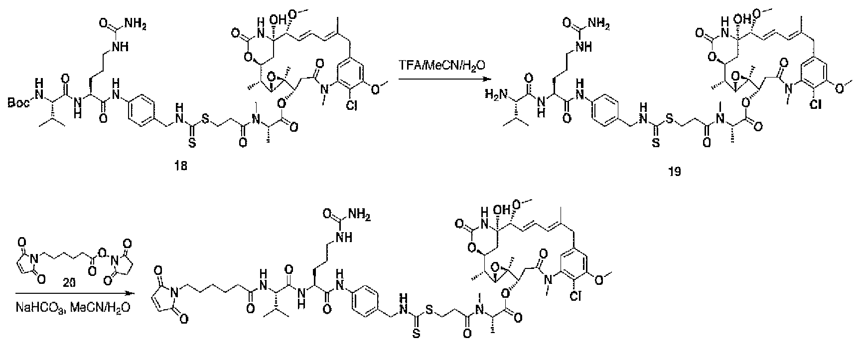 Figure imgf000052_0001
