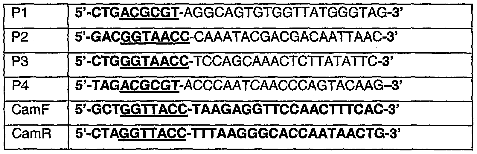 Figure imgf000011_0001