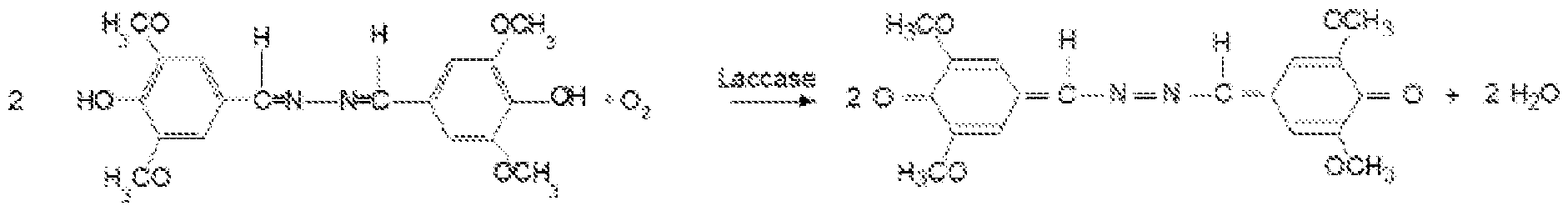 Figure imgf000006_0001