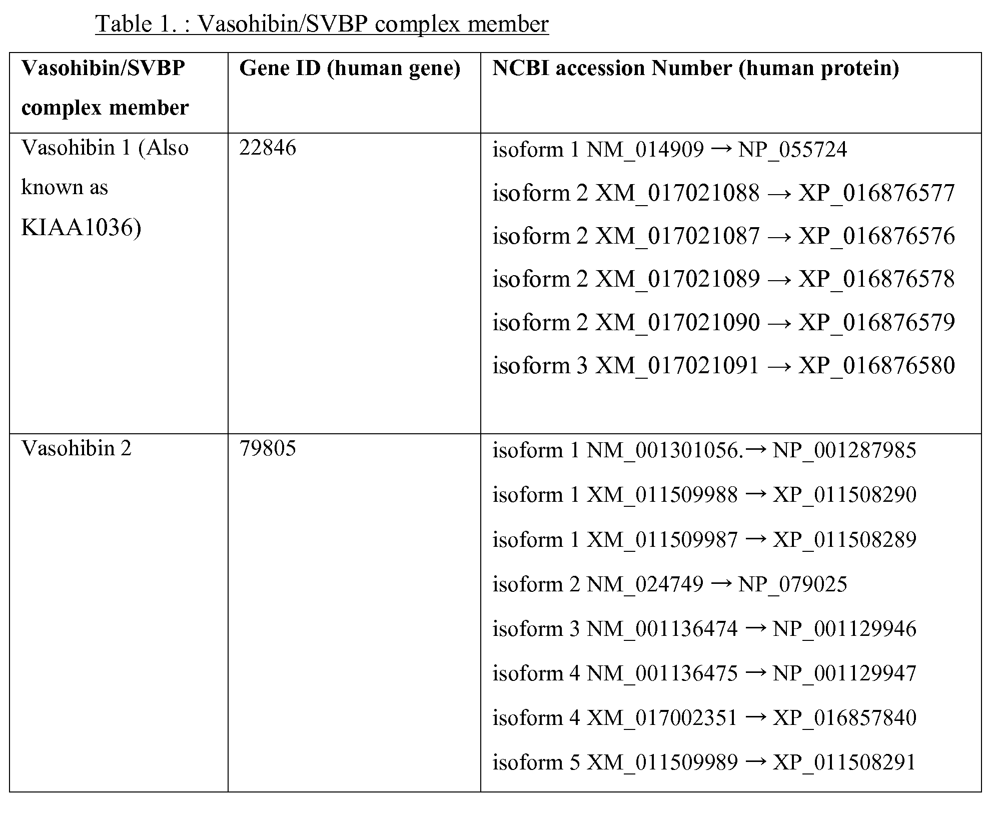 Figure imgf000013_0001