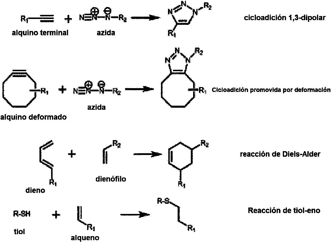 Figure imgf000032_0001