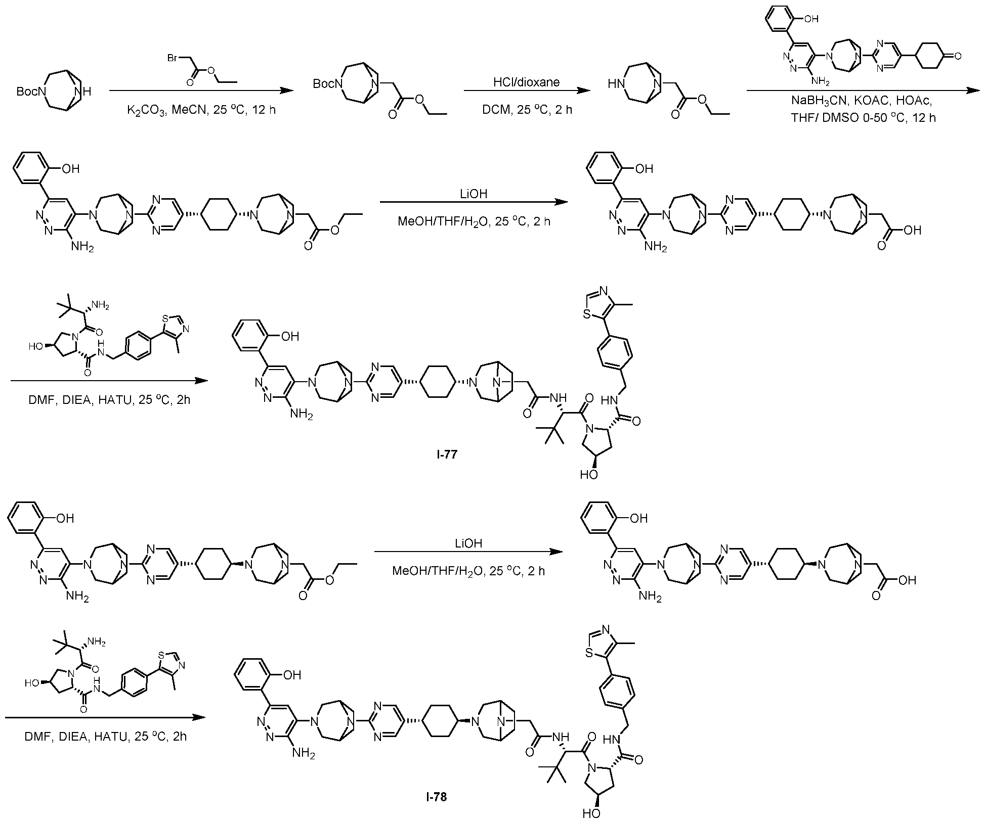 Figure imgf000441_0001