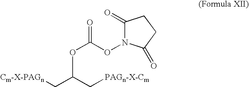 Figure US20080207505A1-20080828-C00024
