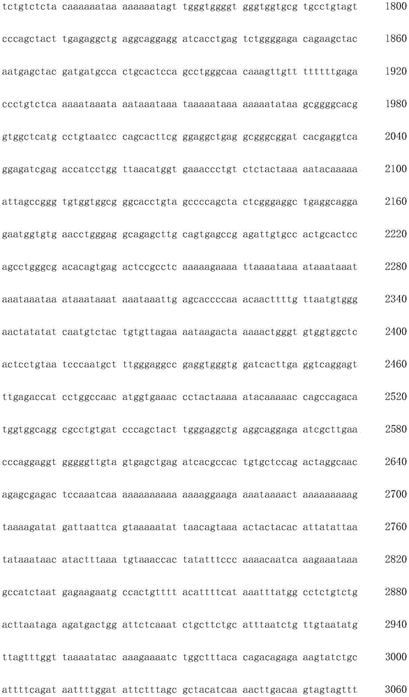 Figure IDA0003936212790000211