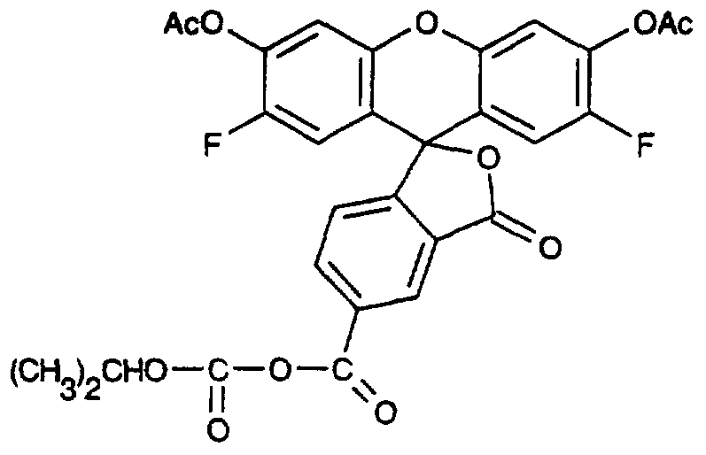 Figure imgf000051_0001