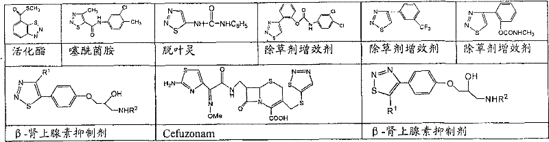 Figure G2007101109800D00041