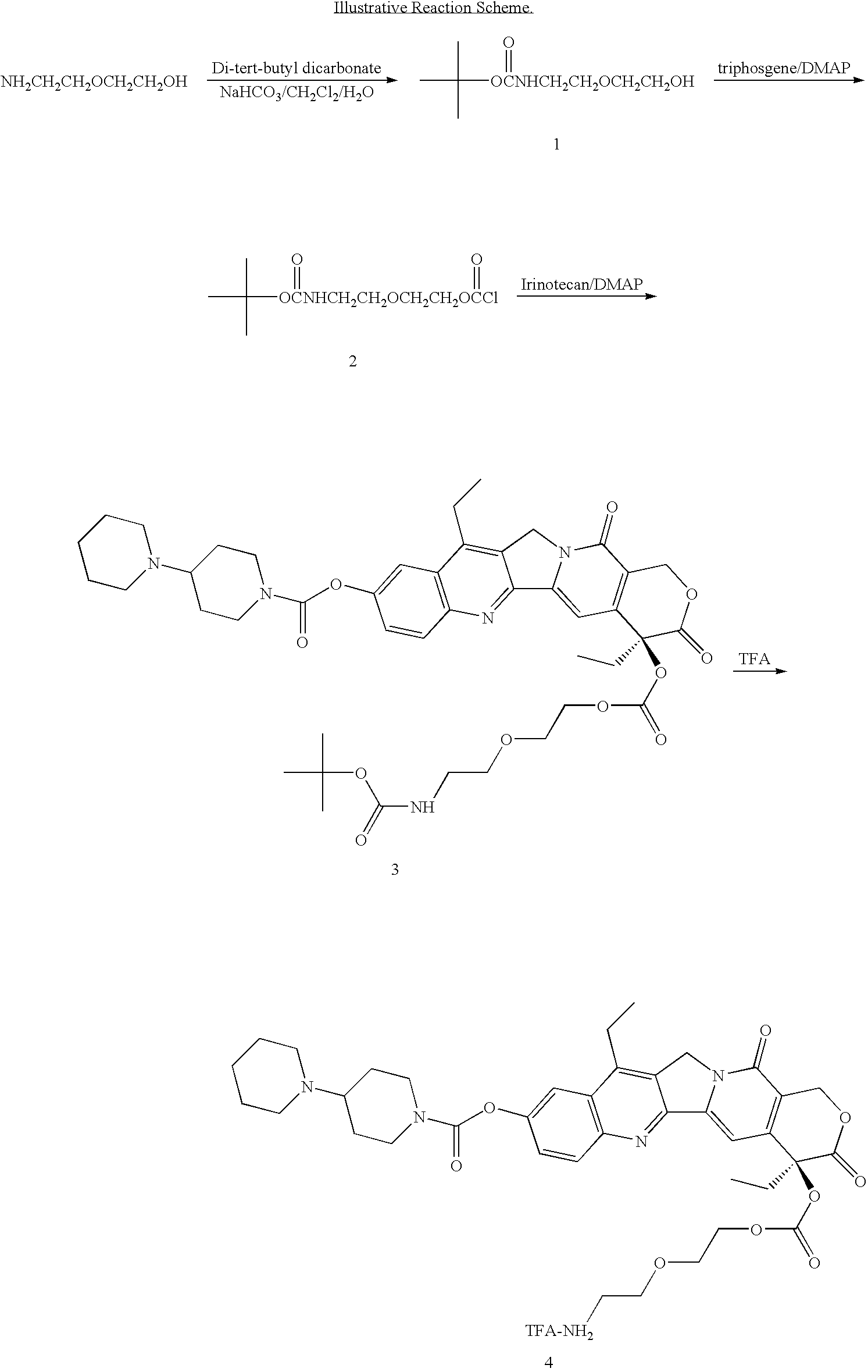 Figure US20090074704A1-20090319-C00027