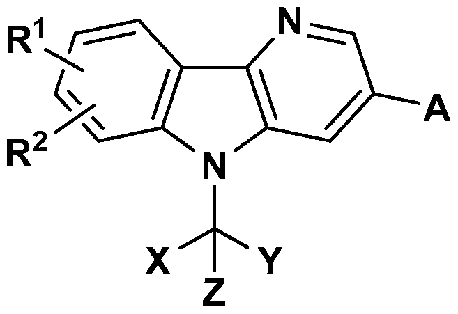 Figure imgf000010_0001