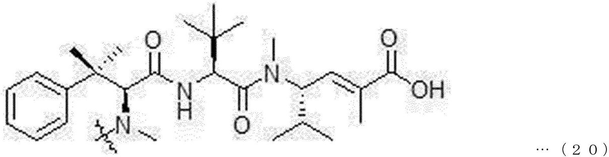 Figure 2022530482000047