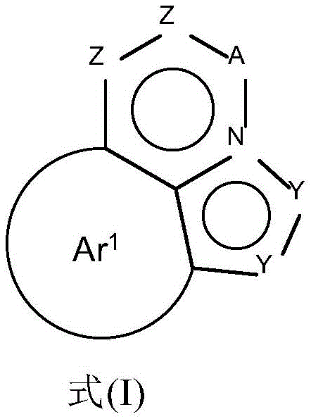 Figure FDA0003545013420000011