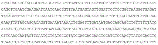 Figure 236057DEST_PATH_IMAGE011