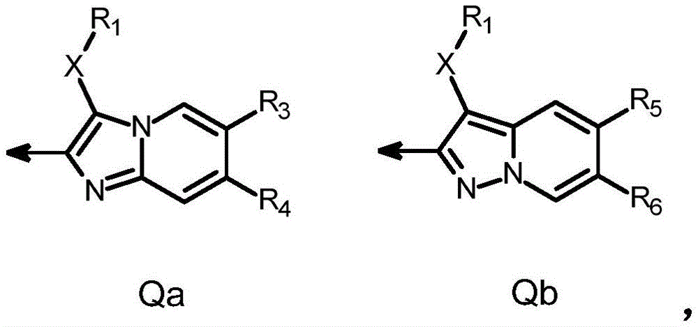 Figure FDA0004105356650000042