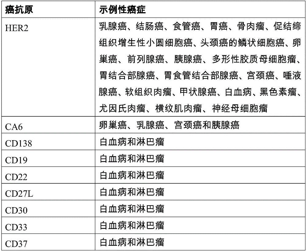 Figure BDA0002763179510000282