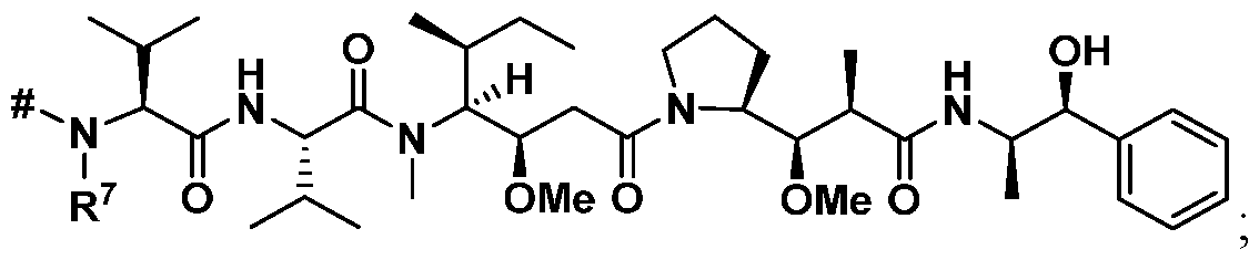Figure imgf000007_0003