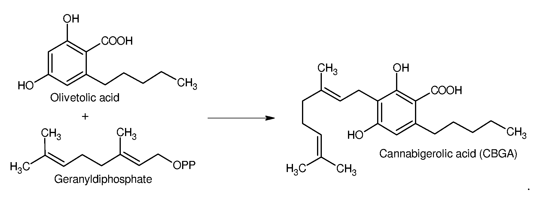 Figure imgf000034_0002